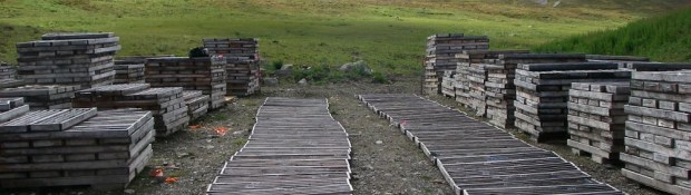 Historical drill core at Howard's Pass