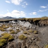 Permafrost thaw slump